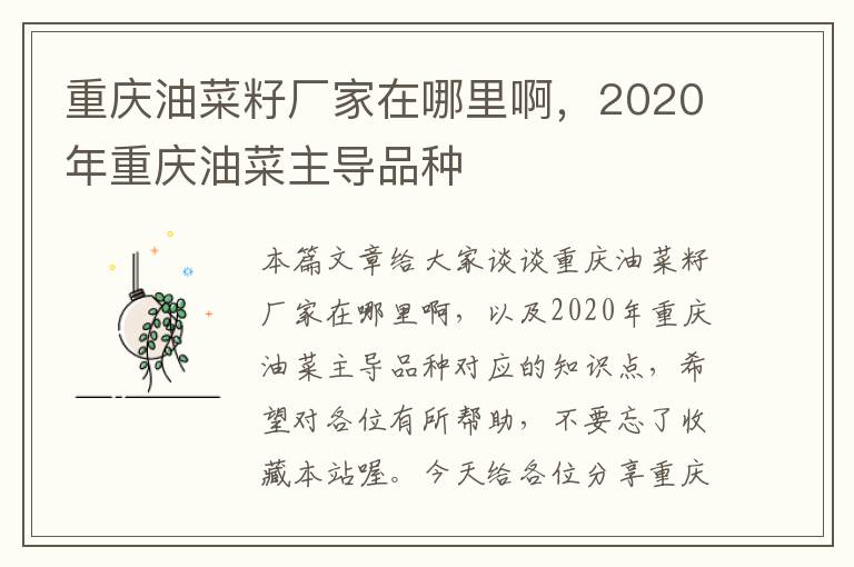 重庆油菜籽厂家在哪里啊，2020年重庆油菜主导品种