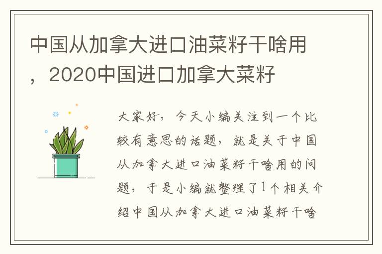 中国从加拿大进口油菜籽干啥用，2020中国进口加拿大菜籽