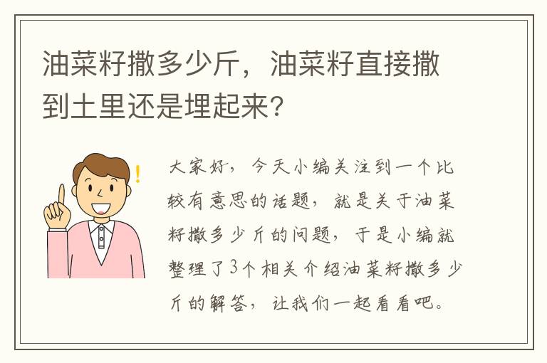 油菜籽撒多少斤，油菜籽直接撒到土里还是埋起来?