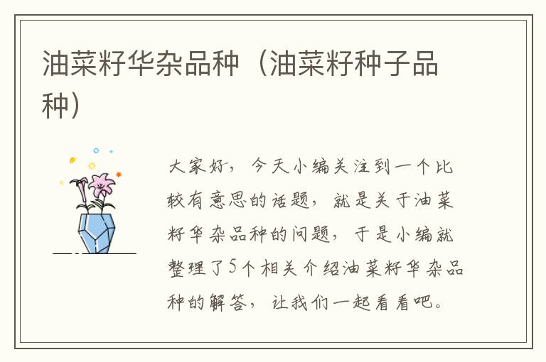 油菜籽华杂品种（油菜籽种子品种）