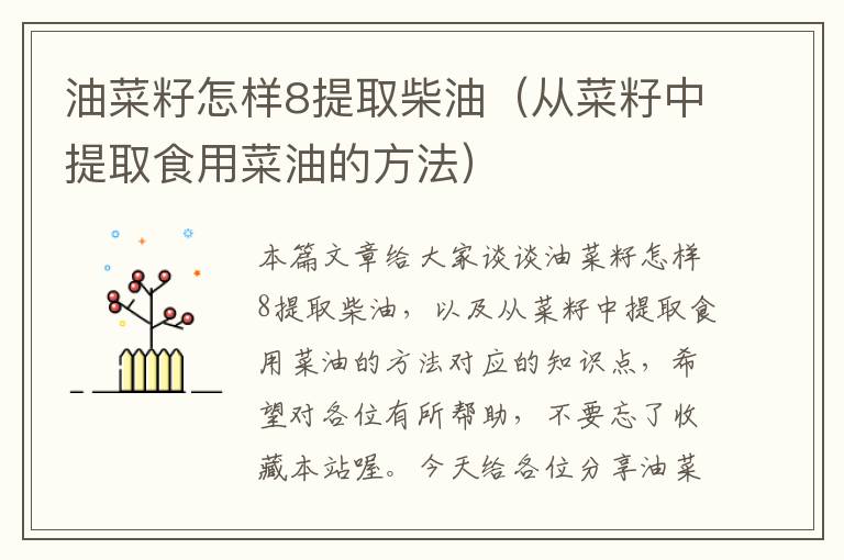 油菜籽怎样8提取柴油（从菜籽中提取食用菜油的方法）