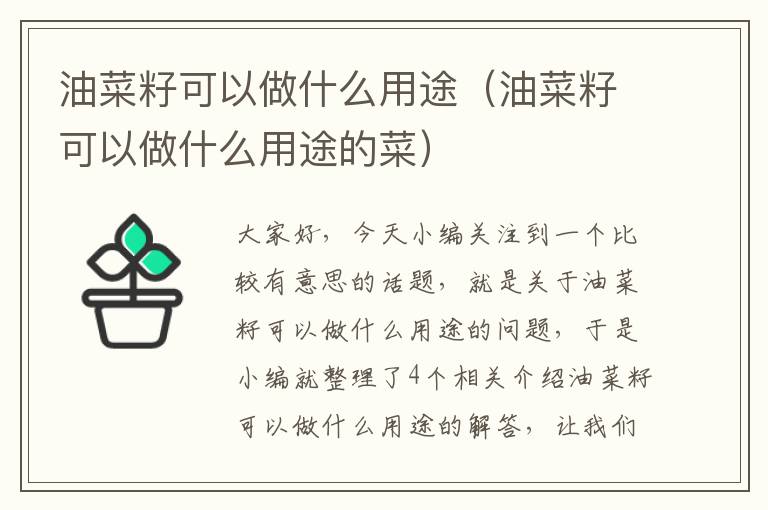 油菜籽可以做什么用途（油菜籽可以做什么用途的菜）