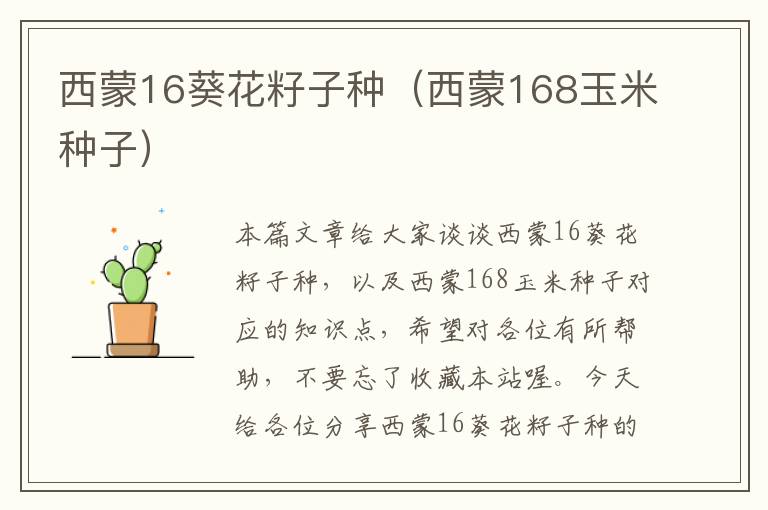 西蒙16葵花籽子种（西蒙168玉米种子）