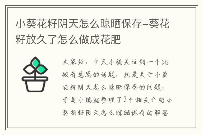 小葵花籽阴天怎么晾晒保存-葵花籽放久了怎么做成花肥