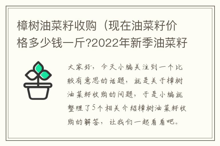 樟树油菜籽收购（现在油菜籽价格多少钱一斤?2022年新季油菜籽价格行情走势预测）