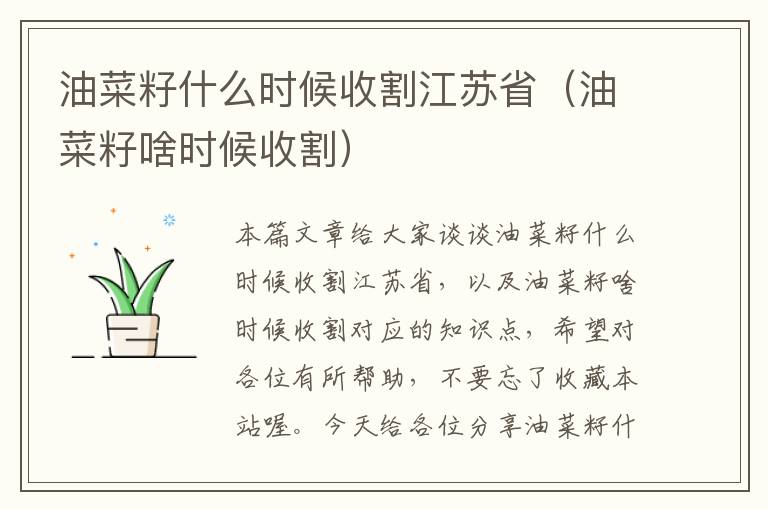 油菜籽什么时候收割江苏省（油菜籽啥时候收割）