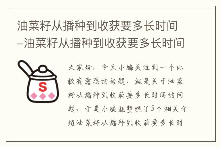 油菜籽从播种到收获要多长时间-油菜籽从播种到收获要多长时间才能收获