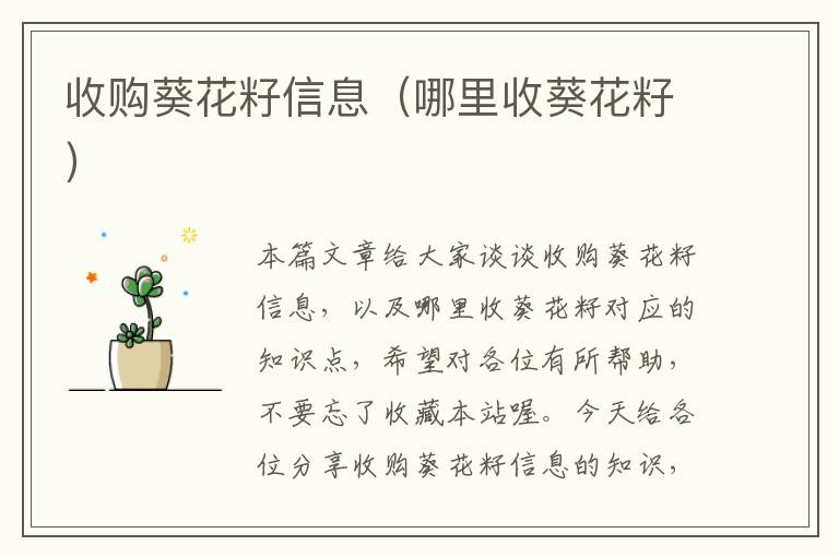 收购葵花籽信息（哪里收葵花籽）