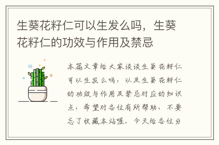 生葵花籽仁可以生发么吗，生葵花籽仁的功效与作用及禁忌