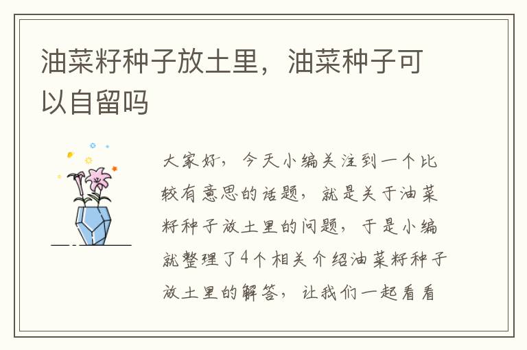 油菜籽种子放土里，油菜种子可以自留吗