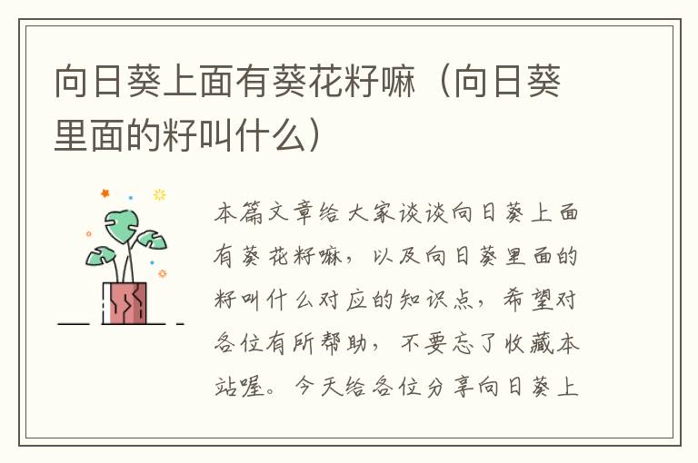 向日葵上面有葵花籽嘛（向日葵里面的籽叫什么）