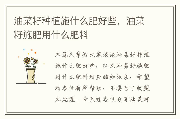 油菜籽种植施什么肥好些，油菜籽施肥用什么肥料