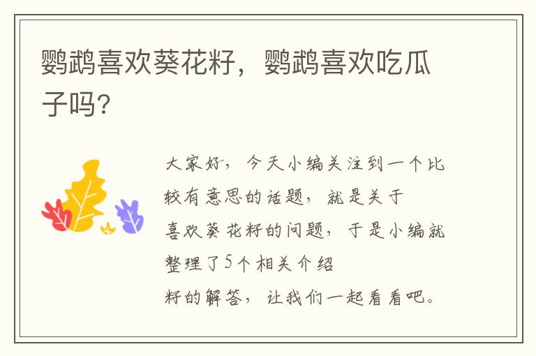 鹦鹉喜欢葵花籽，鹦鹉喜欢吃瓜子吗?