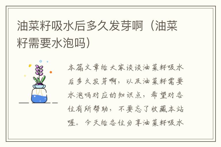 油菜籽吸水后多久发芽啊（油菜籽需要水泡吗）