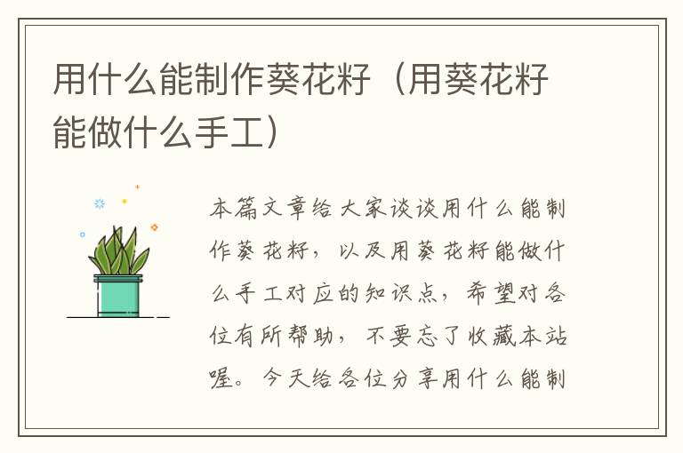 用什么能制作葵花籽（用葵花籽能做什么手工）