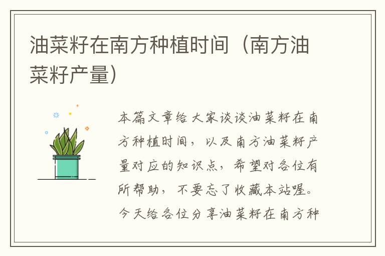 油菜籽在南方种植时间（南方油菜籽产量）