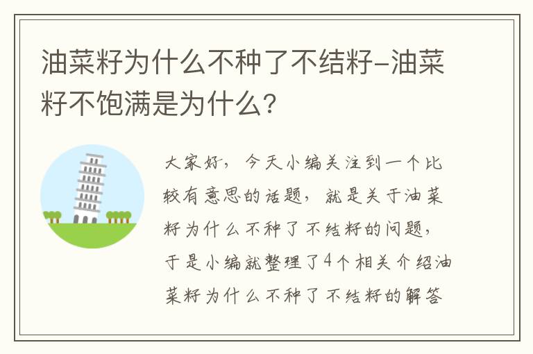 油菜籽为什么不种了不结籽-油菜籽不饱满是为什么?