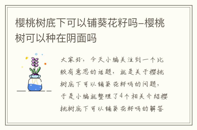 樱桃树底下可以铺葵花籽吗-樱桃树可以种在阴面吗