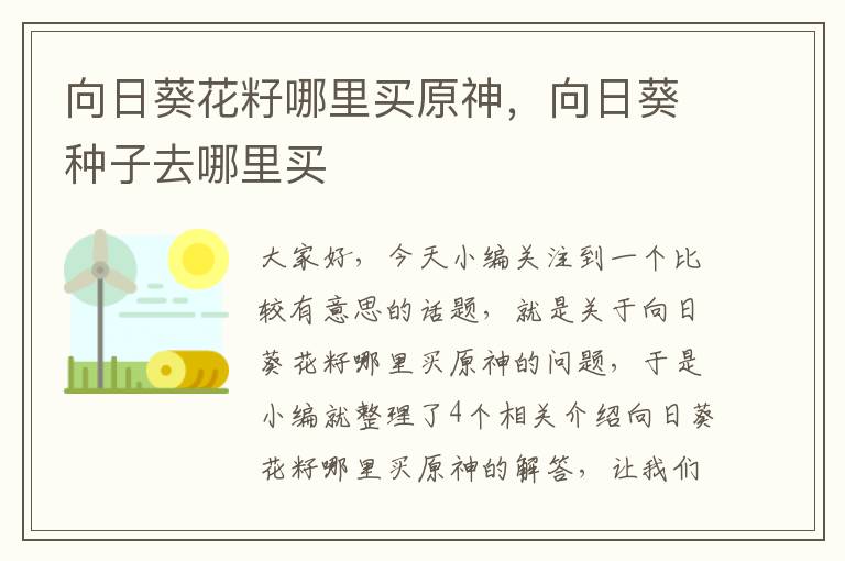 向日葵花籽哪里买原神，向日葵种子去哪里买