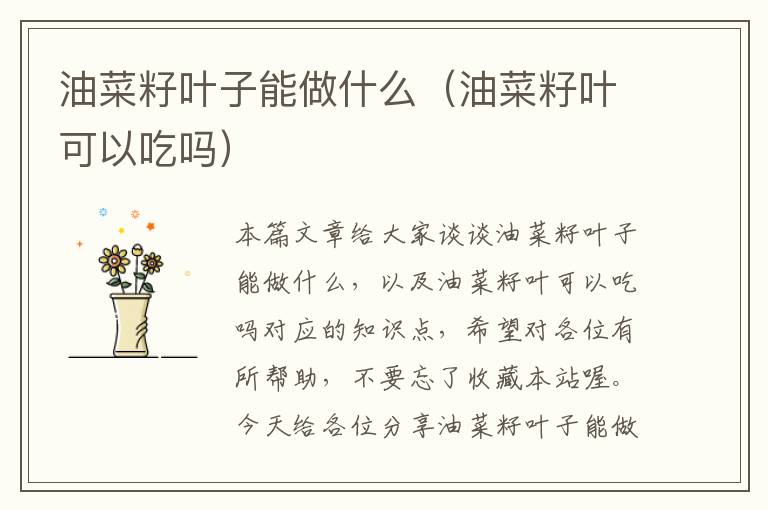 油菜籽叶子能做什么（油菜籽叶可以吃吗）