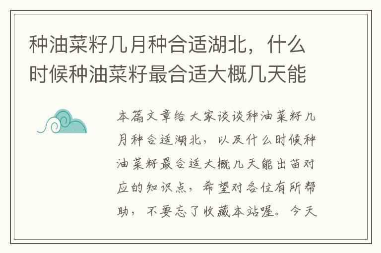 种油菜籽几月种合适湖北，什么时候种油菜籽最合适大概几天能出苗