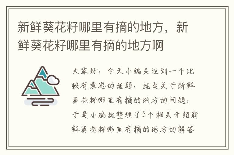 新鲜葵花籽哪里有摘的地方，新鲜葵花籽哪里有摘的地方啊