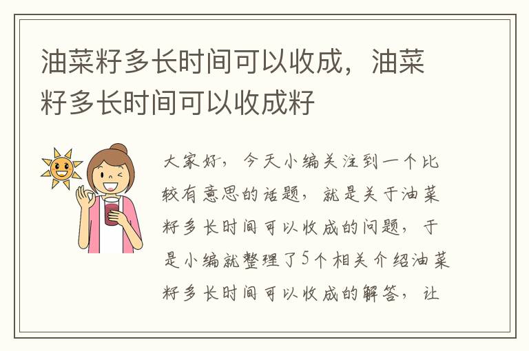 油菜籽多长时间可以收成，油菜籽多长时间可以收成籽