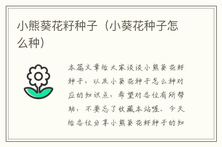 小熊葵花籽种子（小葵花种子怎么种）