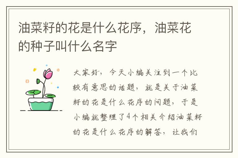 油菜籽的花是什么花序，油菜花的种子叫什么名字