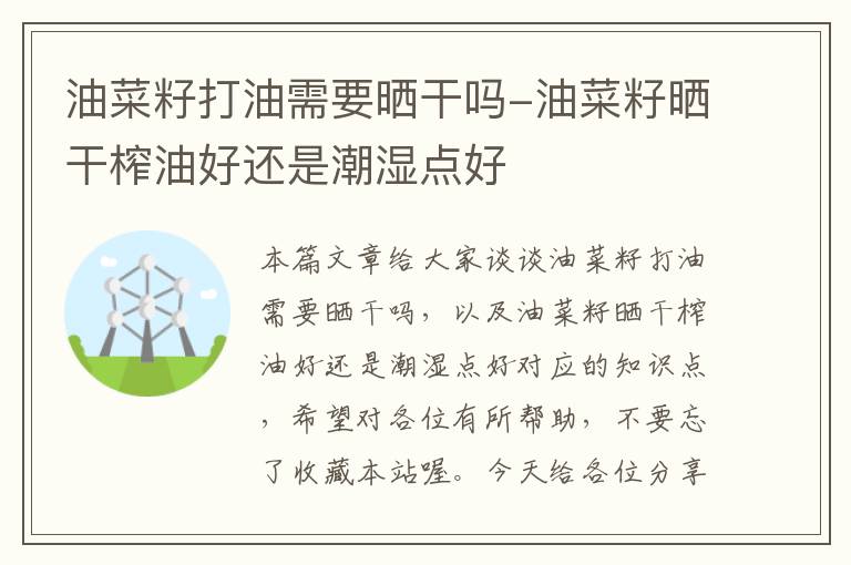 油菜籽打油需要晒干吗-油菜籽晒干榨油好还是潮湿点好