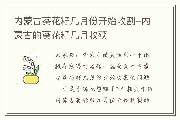 内蒙古葵花籽几月份开始收割-内蒙古的葵花籽几月收获