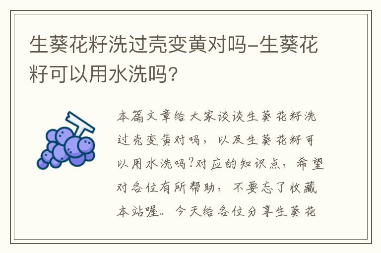 生葵花籽洗过壳变黄对吗-生葵花籽可以用水洗吗?