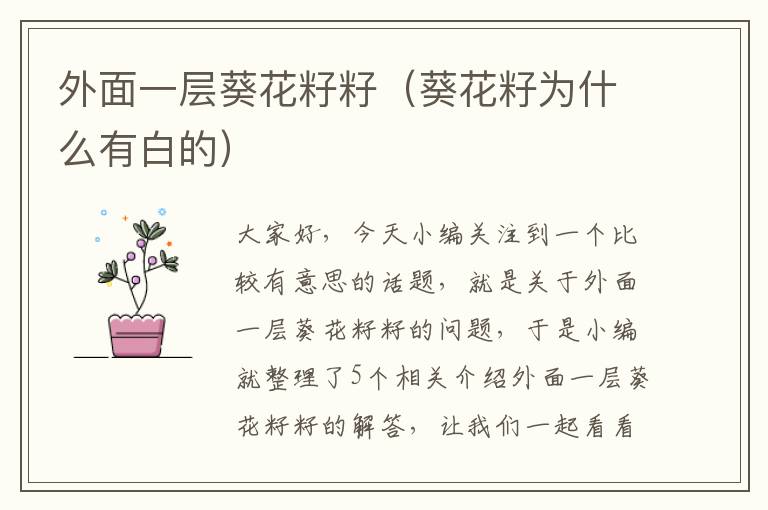 外面一层葵花籽籽（葵花籽为什么有白的）