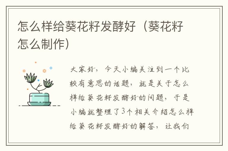 怎么样给葵花籽发酵好（葵花籽怎么制作）