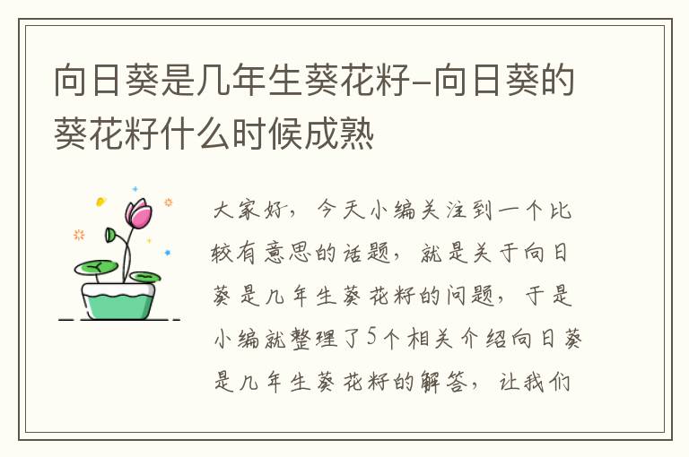 向日葵是几年生葵花籽-向日葵的葵花籽什么时候成熟