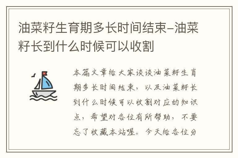 油菜籽生育期多长时间结束-油菜籽长到什么时候可以收割