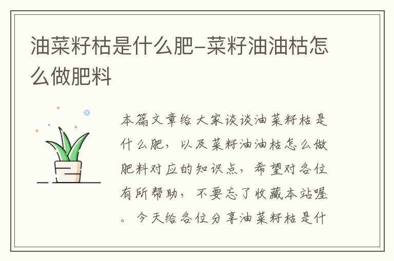 油菜籽枯是什么肥-菜籽油油枯怎么做肥料