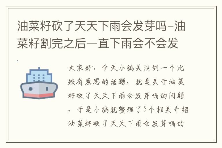 油菜籽砍了天天下雨会发芽吗-油菜籽割完之后一直下雨会不会发芽