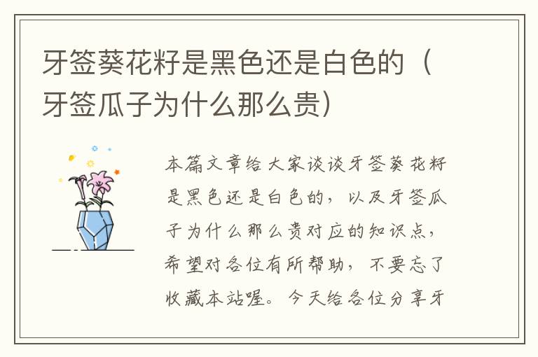 牙签葵花籽是黑色还是白色的（牙签瓜子为什么那么贵）