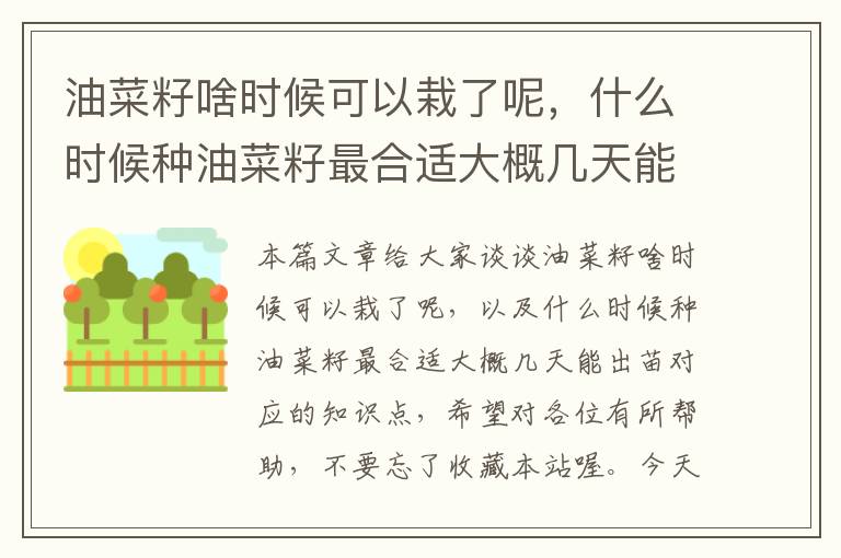 油菜籽啥时候可以栽了呢，什么时候种油菜籽最合适大概几天能出苗