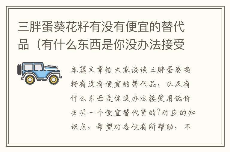 三胖蛋葵花籽有没有便宜的替代品（有什么东西是你没办法接受用低价去买一个便宜替代货的?）