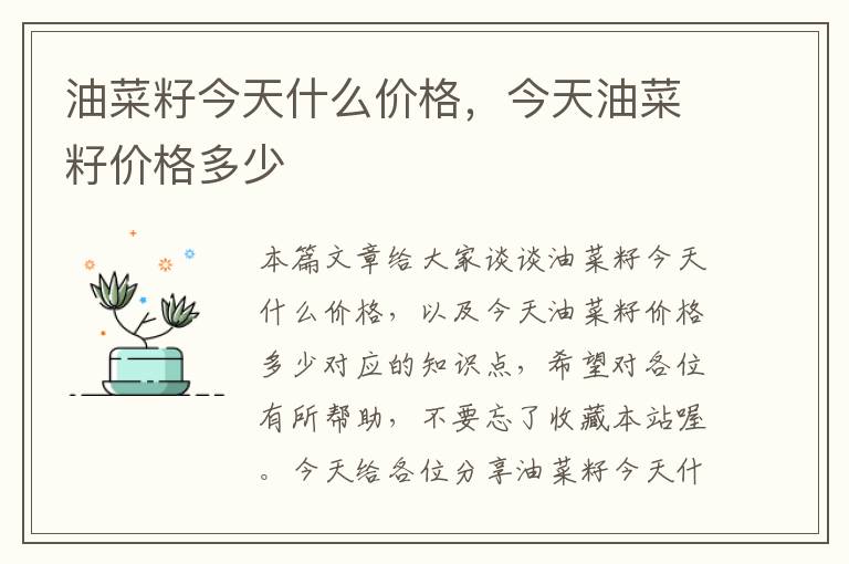 油菜籽今天什么价格，今天油菜籽价格多少