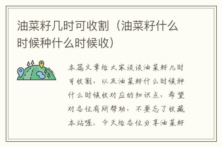 油菜籽几时可收割（油菜籽什么时候种什么时候收）