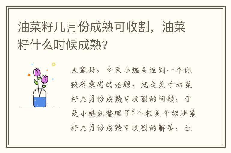 油菜籽几月份成熟可收割，油菜籽什么时候成熟?