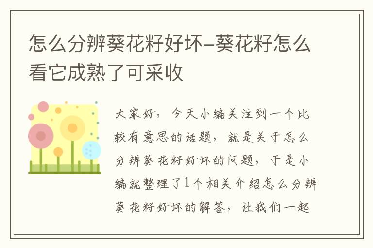 怎么分辨葵花籽好坏-葵花籽怎么看它成熟了可采收