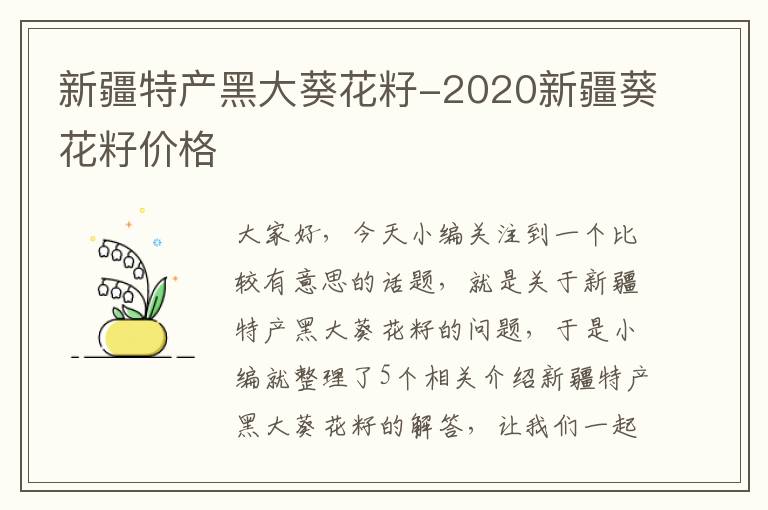 新疆特产黑大葵花籽-2020新疆葵花籽价格