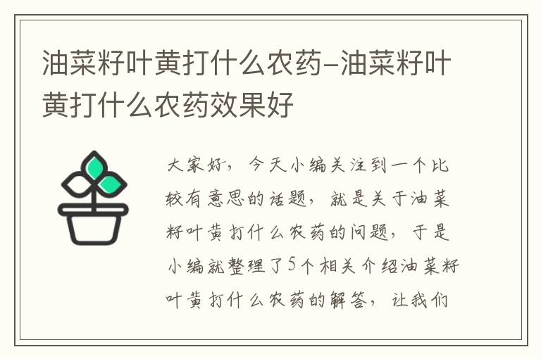 油菜籽叶黄打什么农药-油菜籽叶黄打什么农药效果好