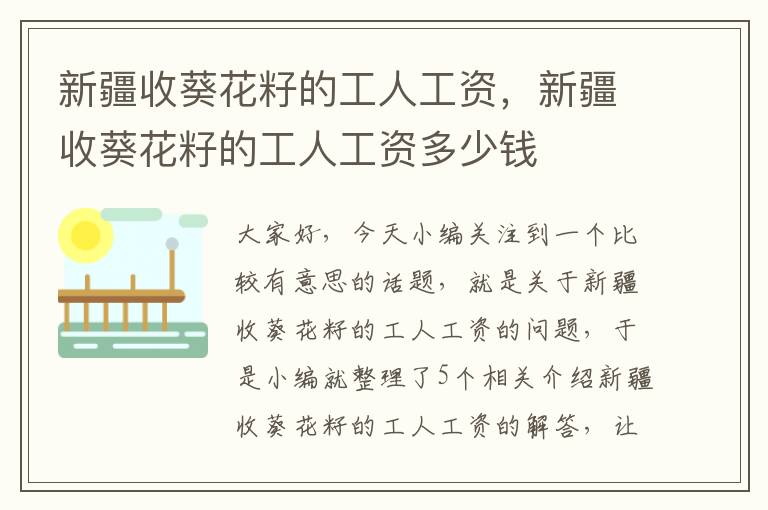 新疆收葵花籽的工人工资，新疆收葵花籽的工人工资多少钱