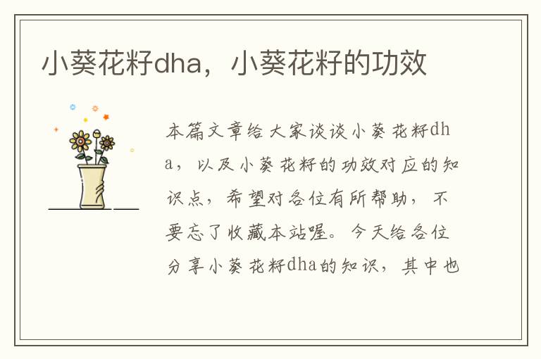 小葵花籽dha，小葵花籽的功效