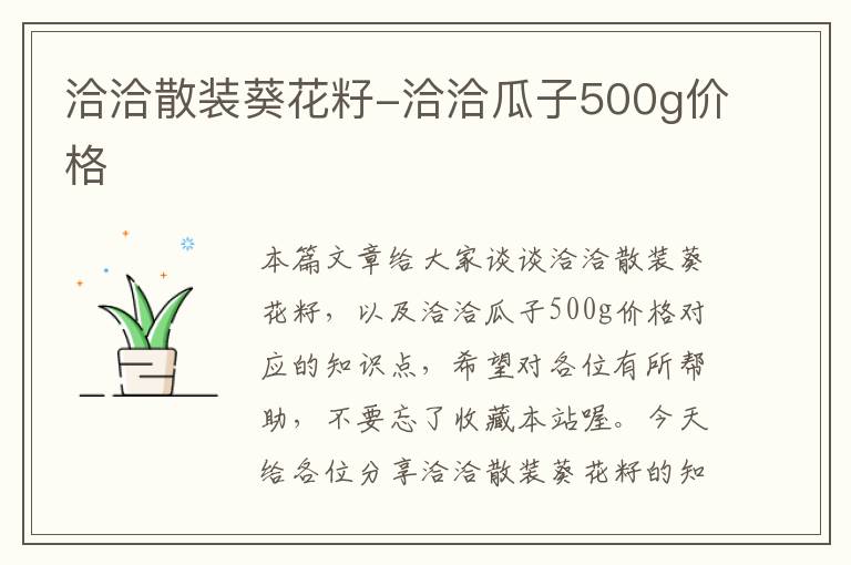 洽洽散装葵花籽-洽洽瓜子500g价格